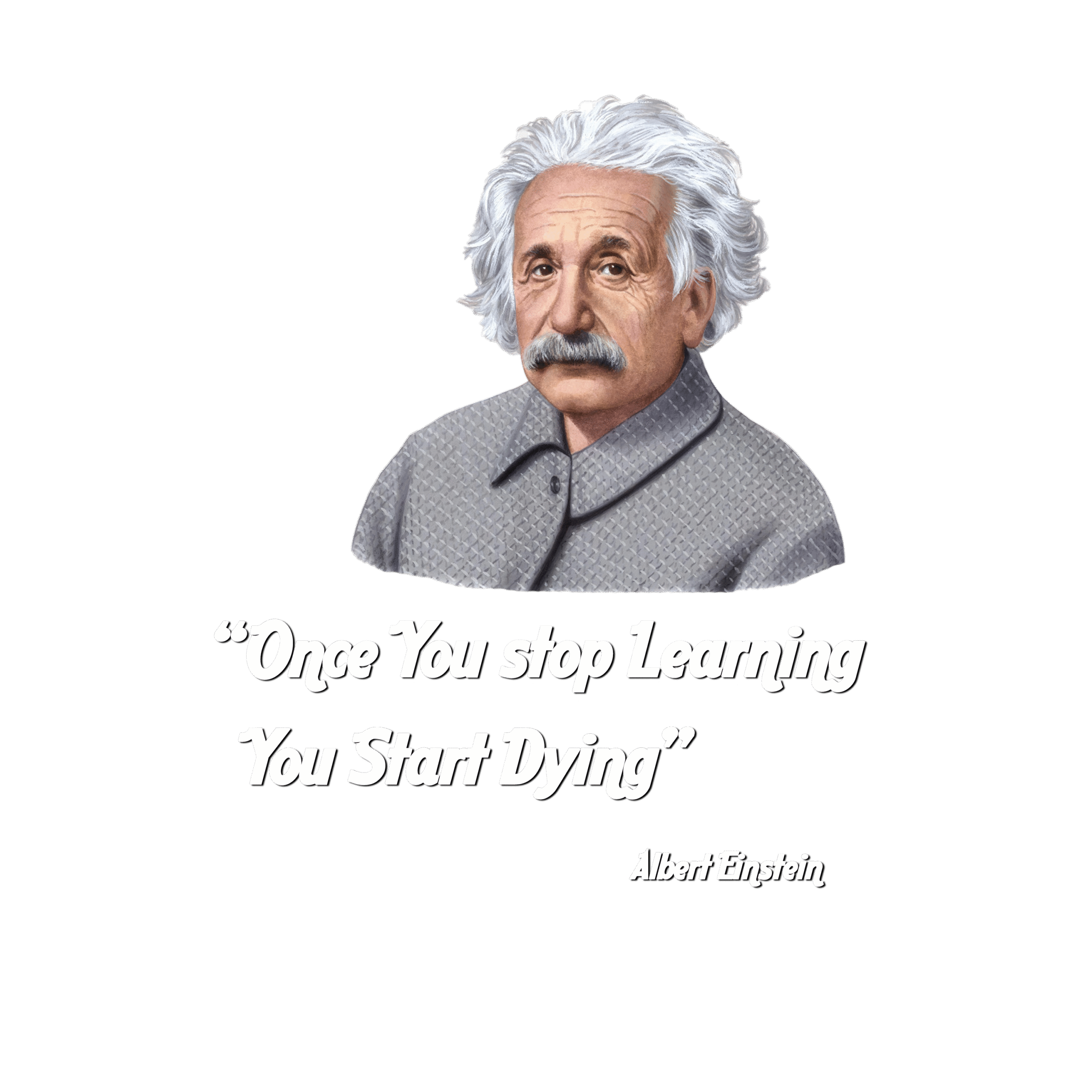 Once You Stop Learning You Start Dying education
